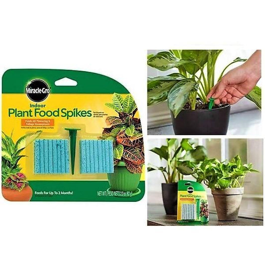 Miracle-Gro Indoor Plant Food - www.FOP.ae Buy online Best and Healthy Plants and quality products guarantee in Dubai Plants Shop in Dubai Abu Dhabi all over UAE Plants near me Fresh Plants in Dubai where to buy plants in UAE - FOP.ae