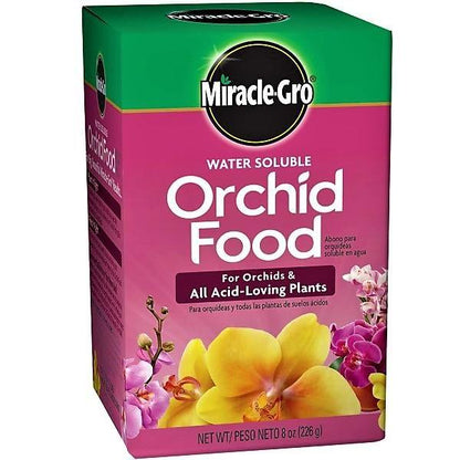 Miracle-Gro Orchid Food - www.FOP.ae Buy online Best and Healthy Plants and quality products guarantee in Dubai Plants Shop in Dubai Abu Dhabi all over UAE Plants near me Fresh Plants in Dubai where to buy plants in UAE - FOP.ae