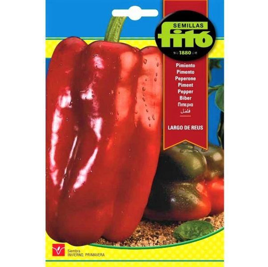 Pepper Largo De Reus Seeds - www.FOP.ae Buy online Best and Healthy Plants and quality products guarantee in Dubai Plants Shop in Dubai Abu Dhabi all over UAE Plants near me Fresh Plants in Dubai where to buy plants in UAE - FOP.ae