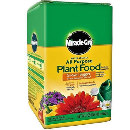 Miracle-Gro Water Soluble All Purpose Plant Food - www.FOP.ae Buy online Best and Healthy Plants and quality products guarantee in Dubai Plants Shop in Dubai Abu Dhabi all over UAE Plants near me Fresh Plants in Dubai where to buy plants in UAE - FOP.ae