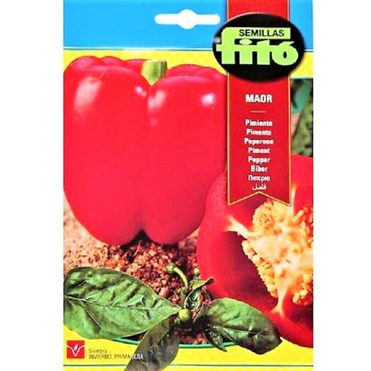 Pepper Maor Seeds - www.FOP.ae Buy online Best and Healthy Plants and quality products guarantee in Dubai Plants Shop in Dubai Abu Dhabi all over UAE Plants near me Fresh Plants in Dubai where to buy plants in UAE - FOP.ae