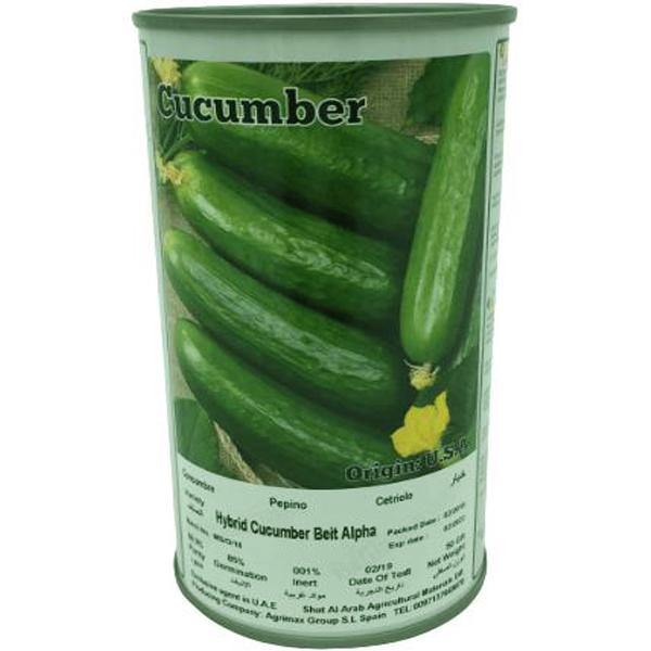 Hybrid Cucumber Beit Alpha Seeds Tin - www.FOP.ae Buy online Best and Healthy Plants and quality products guarantee in Dubai Plants Shop in Dubai Abu Dhabi all over UAE Plants near me Fresh Plants in Dubai where to buy plants in UAE - FOP.ae