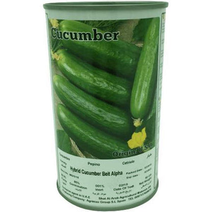 Hybrid Cucumber Beit Alpha Seeds Tin - www.FOP.ae Buy online Best and Healthy Plants and quality products guarantee in Dubai Plants Shop in Dubai Abu Dhabi all over UAE Plants near me Fresh Plants in Dubai where to buy plants in UAE - FOP.ae