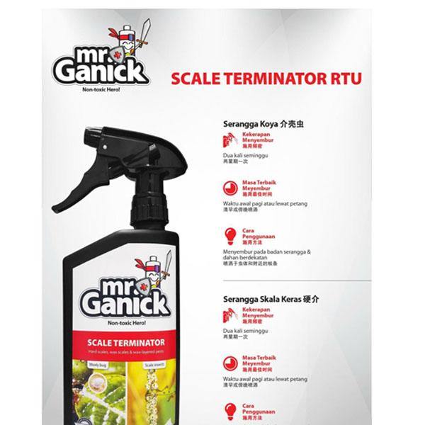 Organic Mealybug and Scale Terminator Spray - www.FOP.ae Buy online Best and Healthy Plants and quality products guarantee in Dubai Plants Shop in Dubai Abu Dhabi all over UAE Plants near me Fresh Plants in Dubai where to buy plants in UAE - FOP.ae