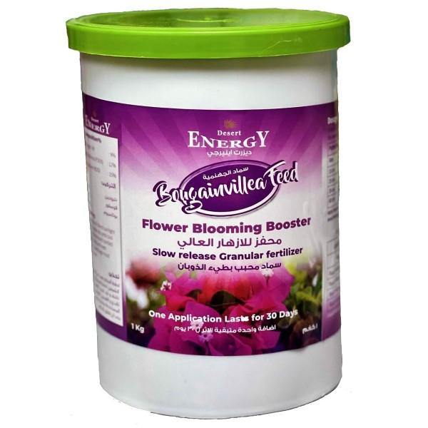 Bougainvillea Feed – Fertilizer - www.FOP.ae Buy online Best and Healthy Plants and quality products guarantee in Dubai Plants Shop in Dubai Abu Dhabi all over UAE Plants near me Fresh Plants in Dubai where to buy plants in UAE - FOP.ae