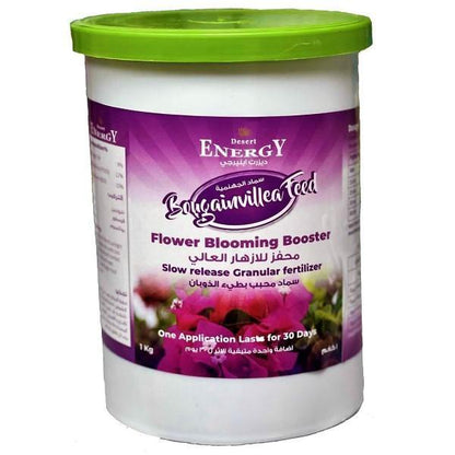 Bougainvillea Feed – Fertilizer - www.FOP.ae Buy online Best and Healthy Plants and quality products guarantee in Dubai Plants Shop in Dubai Abu Dhabi all over UAE Plants near me Fresh Plants in Dubai where to buy plants in UAE - FOP.ae