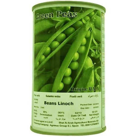 Beans Linoch Seeds Tin - www.FOP.ae Buy online Best and Healthy Plants and quality products guarantee in Dubai Plants Shop in Dubai Abu Dhabi all over UAE Plants near me Fresh Plants in Dubai where to buy plants in UAE - FOP.ae