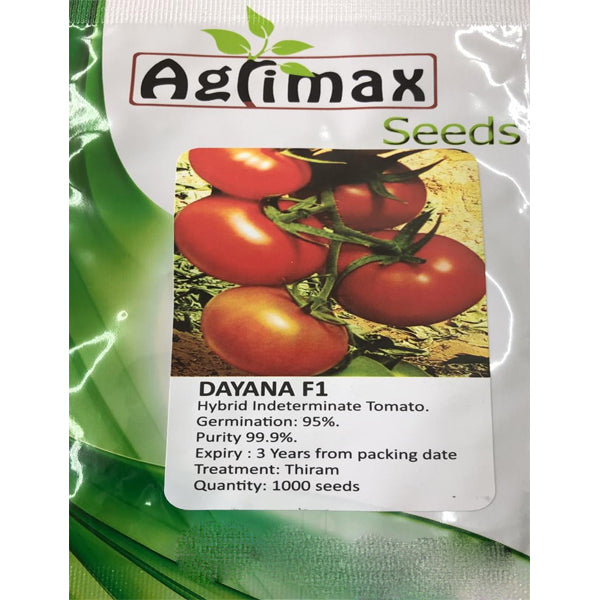 Dayana Indeterminate Tomato Premium Quality Seeds - www.FOP.ae Buy online Best and Healthy Plants and quality products guarantee in Dubai Plants Shop in Dubai Abu Dhabi all over UAE Plants near me Fresh Plants in Dubai where to buy plants in UAE - FOP.ae