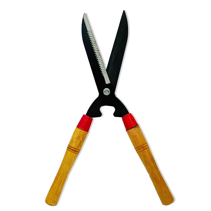 Trimmer - www.FOP.ae Buy online Best and Healthy Plants and quality products guarantee in Dubai Plants Shop in Dubai Abu Dhabi all over UAE Plants near me Fresh Plants in Dubai where to buy plants in UAE - FOP.ae
