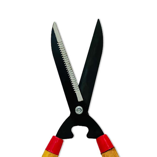 Trimmer - www.FOP.ae Buy online Best and Healthy Plants and quality products guarantee in Dubai Plants Shop in Dubai Abu Dhabi all over UAE Plants near me Fresh Plants in Dubai where to buy plants in UAE - FOP.ae