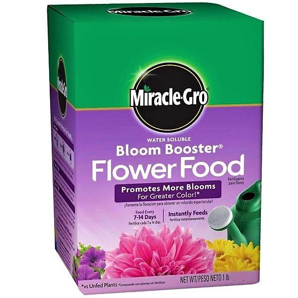 Miracle-Gro Water Soluble Bloom Booster Flower Food - www.FOP.ae Buy online Best and Healthy Plants and quality products guarantee in Dubai Plants Shop in Dubai Abu Dhabi all over UAE Plants near me Fresh Plants in Dubai where to buy plants in UAE - FOP.ae