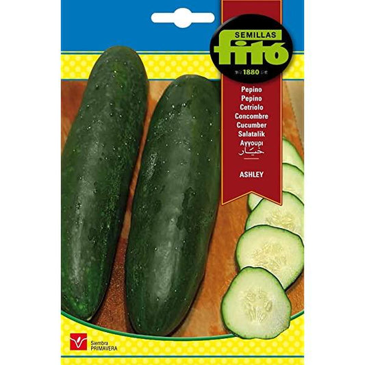 Semillas Cucumber Ashley Seeds - www.FOP.ae Buy online Best and Healthy Plants and quality products guarantee in Dubai Plants Shop in Dubai Abu Dhabi all over UAE Plants near me Fresh Plants in Dubai where to buy plants in UAE - FOP.ae