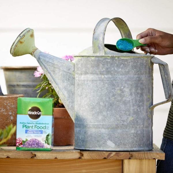 Miracle-Gro Acid-Loving Plant Food - www.FOP.ae Buy online Best and Healthy Plants and quality products guarantee in Dubai Plants Shop in Dubai Abu Dhabi all over UAE Plants near me Fresh Plants in Dubai where to buy plants in UAE - FOP.ae