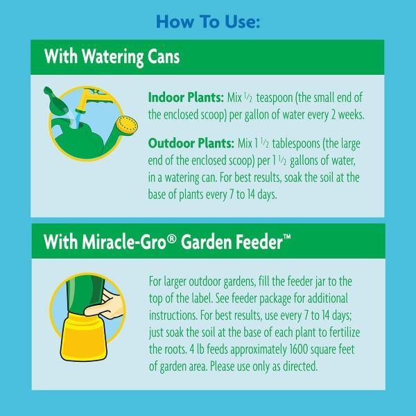 Miracle-Gro Acid-Loving Plant Food - www.FOP.ae Buy online Best and Healthy Plants and quality products guarantee in Dubai Plants Shop in Dubai Abu Dhabi all over UAE Plants near me Fresh Plants in Dubai where to buy plants in UAE - FOP.ae