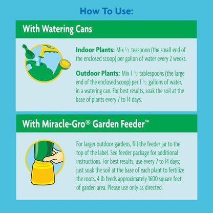 Miracle-Gro Acid-Loving Plant Food - www.FOP.ae Buy online Best and Healthy Plants and quality products guarantee in Dubai Plants Shop in Dubai Abu Dhabi all over UAE Plants near me Fresh Plants in Dubai where to buy plants in UAE - FOP.ae