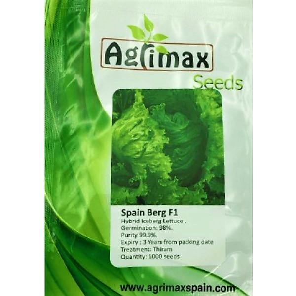 Lettuce Iceberg F1 Premium Seeds - www.FOP.ae Buy online Best and Healthy Plants and quality products guarantee in Dubai Plants Shop in Dubai Abu Dhabi all over UAE Plants near me Fresh Plants in Dubai where to buy plants in UAE - FOP.ae