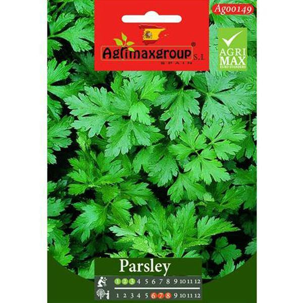 Parsley Seeds - www.FOP.ae Buy online Best and Healthy Plants and quality products guarantee in Dubai Plants Shop in Dubai Abu Dhabi all over UAE Plants near me Fresh Plants in Dubai where to buy plants in UAE - FOP.ae