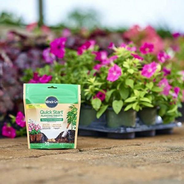 Miracle-Gro- Quick Start Planting Tablets - www.FOP.ae Buy online Best and Healthy Plants and quality products guarantee in Dubai Plants Shop in Dubai Abu Dhabi all over UAE Plants near me Fresh Plants in Dubai where to buy plants in UAE - FOP.ae