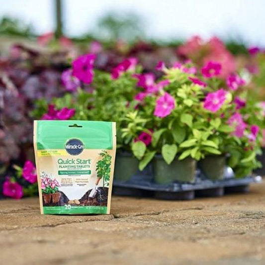 Miracle-Gro- Quick Start Planting Tablets - www.FOP.ae Buy online Best and Healthy Plants and quality products guarantee in Dubai Plants Shop in Dubai Abu Dhabi all over UAE Plants near me Fresh Plants in Dubai where to buy plants in UAE - FOP.ae