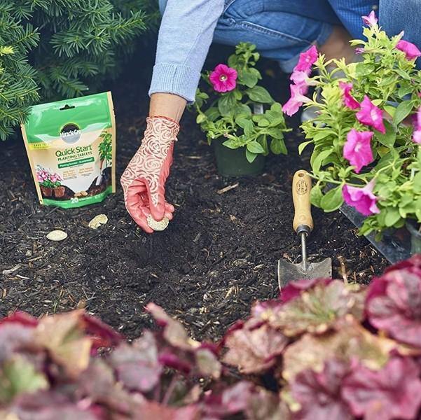 Miracle-Gro- Quick Start Planting Tablets - www.FOP.ae Buy online Best and Healthy Plants and quality products guarantee in Dubai Plants Shop in Dubai Abu Dhabi all over UAE Plants near me Fresh Plants in Dubai where to buy plants in UAE - FOP.ae