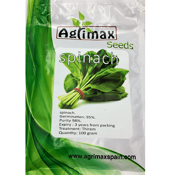 Spinach Premium Quality Seeds - www.FOP.ae Buy online Best and Healthy Plants and quality products guarantee in Dubai Plants Shop in Dubai Abu Dhabi all over UAE Plants near me Fresh Plants in Dubai where to buy plants in UAE - FOP.ae