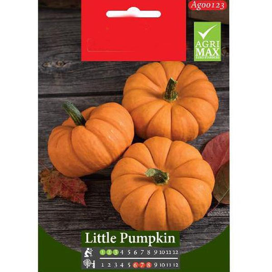 Little Pumpkin Seeds - www.FOP.ae Buy online Best and Healthy Plants and quality products guarantee in Dubai Plants Shop in Dubai Abu Dhabi all over UAE Plants near me Fresh Plants in Dubai where to buy plants in UAE - FOP.ae