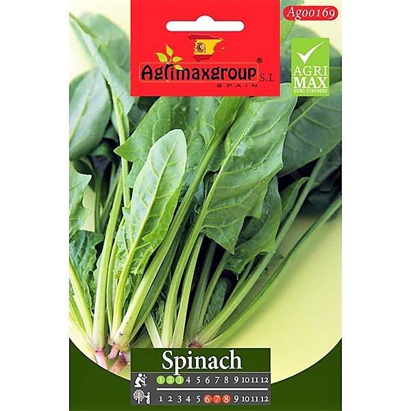 Spinach Seeds - www.FOP.ae Buy online Best and Healthy Plants and quality products guarantee in Dubai Plants Shop in Dubai Abu Dhabi all over UAE Plants near me Fresh Plants in Dubai where to buy plants in UAE - FOP.ae