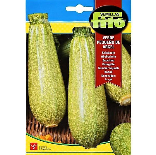 Squash Verde Pequeno De Argel Seeds - www.FOP.ae Buy online Best and Healthy Plants and quality products guarantee in Dubai Plants Shop in Dubai Abu Dhabi all over UAE Plants near me Fresh Plants in Dubai where to buy plants in UAE - FOP.ae