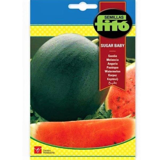 Watermelon Sugar Baby Seeds - www.FOP.ae Buy online Best and Healthy Plants and quality products guarantee in Dubai Plants Shop in Dubai Abu Dhabi all over UAE Plants near me Fresh Plants in Dubai where to buy plants in UAE - FOP.ae