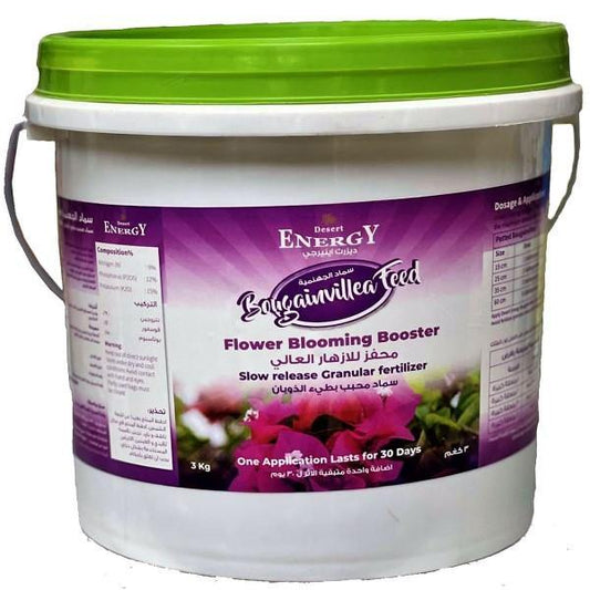 Bougainvillea Feed – Fertilizer - www.FOP.ae Buy online Best and Healthy Plants and quality products guarantee in Dubai Plants Shop in Dubai Abu Dhabi all over UAE Plants near me Fresh Plants in Dubai where to buy plants in UAE - FOP.ae