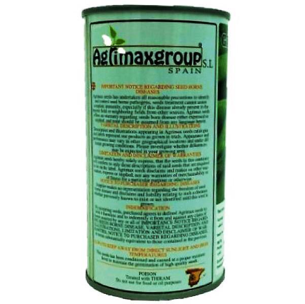 Beans Linoch Seeds Tin - www.FOP.ae Buy online Best and Healthy Plants and quality products guarantee in Dubai Plants Shop in Dubai Abu Dhabi all over UAE Plants near me Fresh Plants in Dubai where to buy plants in UAE - FOP.ae