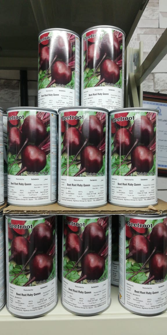 Ruby Queen Beetroot Seeds Tin - www.FOP.ae Buy online Best and Healthy Plants and quality products guarantee in Dubai Plants Shop in Dubai Abu Dhabi all over UAE Plants near me Fresh Plants in Dubai where to buy plants in UAE - FOP.ae
