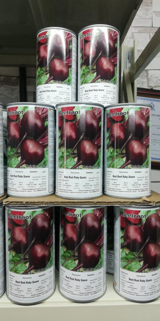 Ruby Queen Beetroot Seeds Tin - www.FOP.ae Buy online Best and Healthy Plants and quality products guarantee in Dubai Plants Shop in Dubai Abu Dhabi all over UAE Plants near me Fresh Plants in Dubai where to buy plants in UAE - FOP.ae