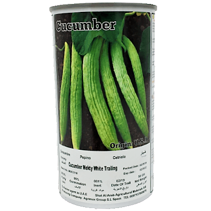Cucumber Mekty White Trailing Seeds Tin - www.FOP.ae Buy online Best and Healthy Plants and quality products guarantee in Dubai Plants Shop in Dubai Abu Dhabi all over UAE Plants near me Fresh Plants in Dubai where to buy plants in UAE - FOP.ae