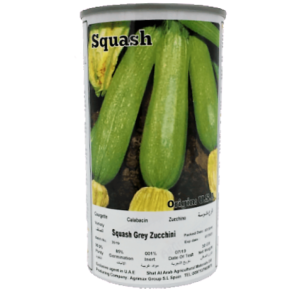 Gray Squash Zucchini Seeds Tin - www.FOP.ae Buy online Best and Healthy Plants and quality products guarantee in Dubai Plants Shop in Dubai Abu Dhabi all over UAE Plants near me Fresh Plants in Dubai where to buy plants in UAE - FOP.ae
