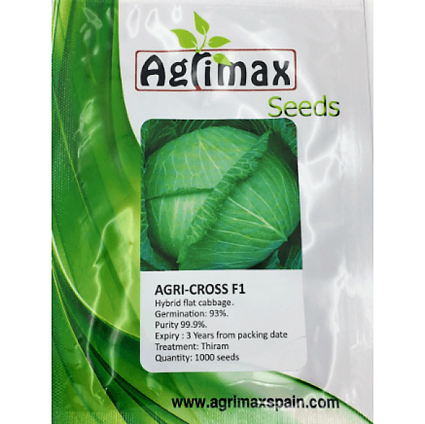 Cabbage Agri, Cross F1 Premium Quality Seeds - www.FOP.ae Buy online Best and Healthy Plants and quality products guarantee in Dubai Plants Shop in Dubai Abu Dhabi all over UAE Plants near me Fresh Plants in Dubai where to buy plants in UAE - FOP.ae
