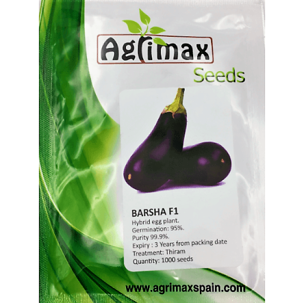 Egg Plant Barsha F1 Premium Quality Seeds - www.FOP.ae Buy online Best and Healthy Plants and quality products guarantee in Dubai Plants Shop in Dubai Abu Dhabi all over UAE Plants near me Fresh Plants in Dubai where to buy plants in UAE - FOP.ae