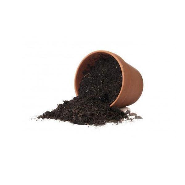 Potting Soil by Shalimar - www.FOP.ae Buy online Best and Healthy Plants and quality products guarantee in Dubai Plants Shop in Dubai Abu Dhabi all over UAE Plants near me Fresh Plants in Dubai where to buy plants in UAE - FOP.ae