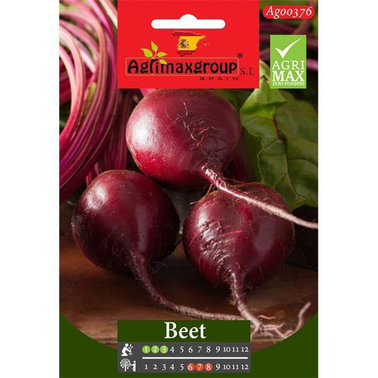 Beet Seeds - www.FOP.ae Buy online Best and Healthy Plants and quality products guarantee in Dubai Plants Shop in Dubai Abu Dhabi all over UAE Plants near me Fresh Plants in Dubai where to buy plants in UAE - FOP.ae