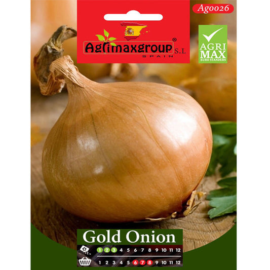Gold Onion Seeds - www.FOP.ae Buy online Best and Healthy Plants and quality products guarantee in Dubai Plants Shop in Dubai Abu Dhabi all over UAE Plants near me Fresh Plants in Dubai where to buy plants in UAE - FOP.ae
