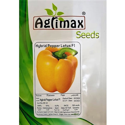 Lotus F1 Hybrid Yellow Pepper Premium Quality Seeds - www.FOP.ae Buy online Best and Healthy Plants and quality products guarantee in Dubai Plants Shop in Dubai Abu Dhabi all over UAE Plants near me Fresh Plants in Dubai where to buy plants in UAE - FOP.ae