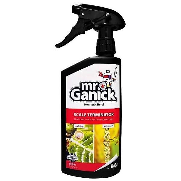 Organic Mealybug and Scale Terminator Spray - www.FOP.ae Buy online Best and Healthy Plants and quality products guarantee in Dubai Plants Shop in Dubai Abu Dhabi all over UAE Plants near me Fresh Plants in Dubai where to buy plants in UAE - FOP.ae