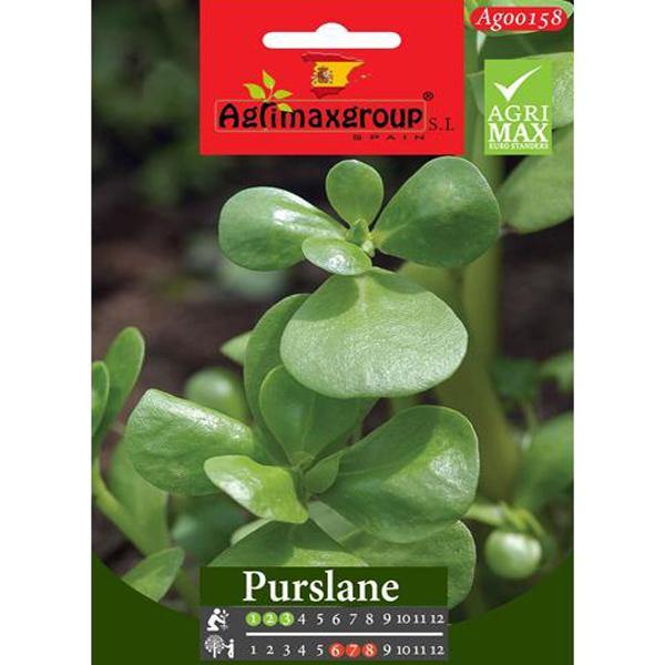 Purslane Seeds - www.FOP.ae Buy online Best and Healthy Plants and quality products guarantee in Dubai Plants Shop in Dubai Abu Dhabi all over UAE Plants near me Fresh Plants in Dubai where to buy plants in UAE - FOP.ae