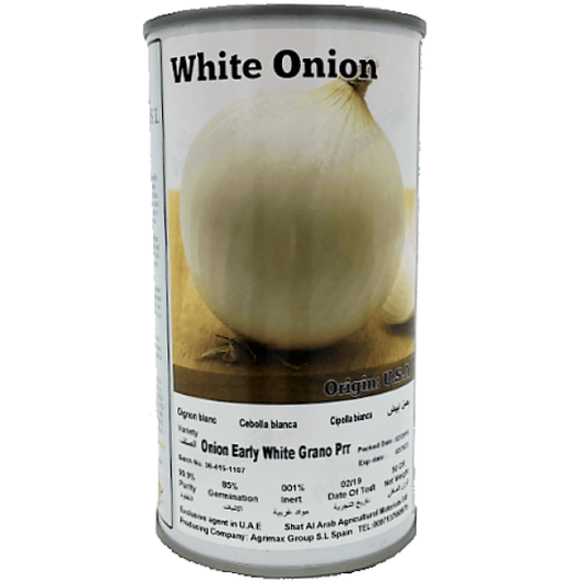Onion Early White Grano Prr Seeds Tin - www.FOP.ae Buy online Best and Healthy Plants and quality products guarantee in Dubai Plants Shop in Dubai Abu Dhabi all over UAE Plants near me Fresh Plants in Dubai where to buy plants in UAE - FOP.ae