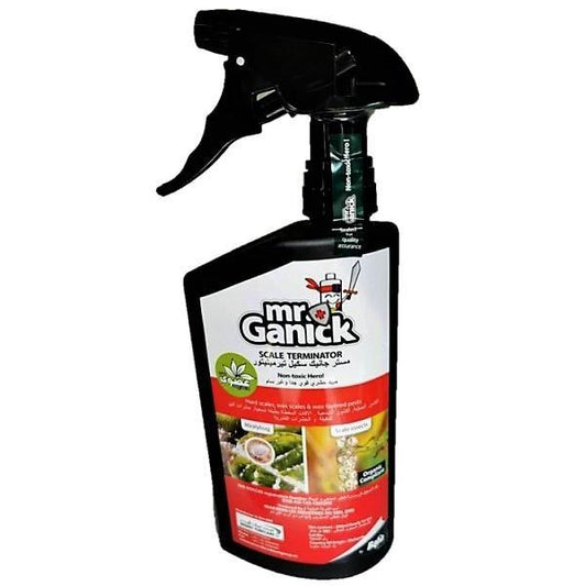 Organic Mealybug and Scale Terminator Spray - www.FOP.ae Buy online Best and Healthy Plants and quality products guarantee in Dubai Plants Shop in Dubai Abu Dhabi all over UAE Plants near me Fresh Plants in Dubai where to buy plants in UAE - FOP.ae