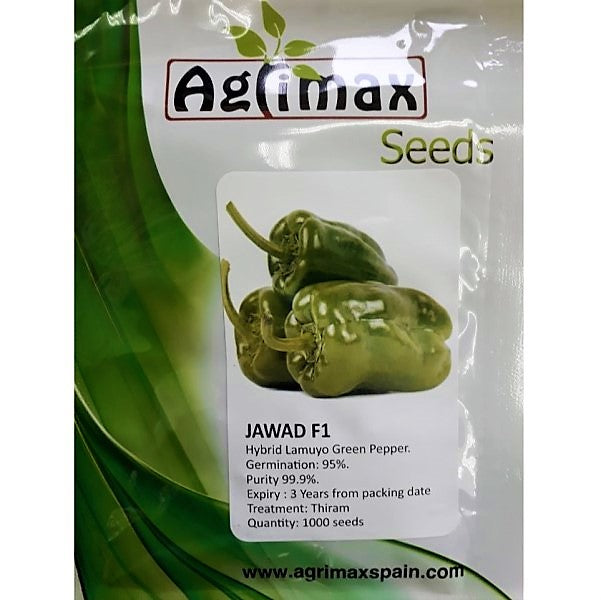 Jawad Lamuyo Green Paper F1 Premium Quality Seeds - www.FOP.ae Buy online Best and Healthy Plants and quality products guarantee in Dubai Plants Shop in Dubai Abu Dhabi all over UAE Plants near me Fresh Plants in Dubai where to buy plants in UAE - FOP.ae