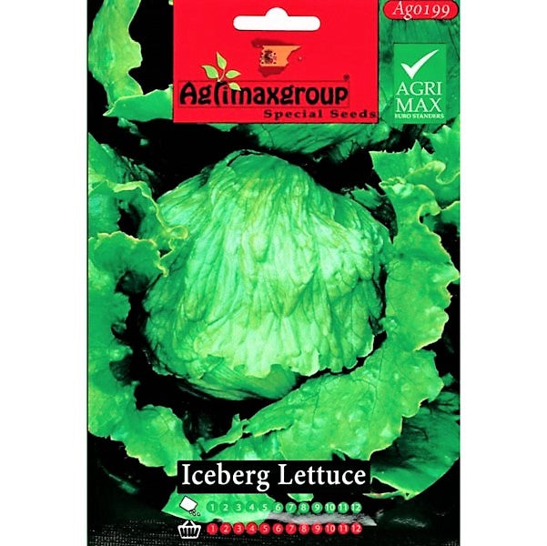 Iceberg Lettuce Seeds - www.FOP.ae Buy online Best and Healthy Plants and quality products guarantee in Dubai Plants Shop in Dubai Abu Dhabi all over UAE Plants near me Fresh Plants in Dubai where to buy plants in UAE - FOP.ae