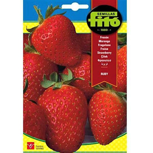 Ruby Strawberry Seeds Seeds - www.FOP.ae Buy online Best and Healthy Plants and quality products guarantee in Dubai Plants Shop in Dubai Abu Dhabi all over UAE Plants near me Fresh Plants in Dubai where to buy plants in UAE - FOP.ae