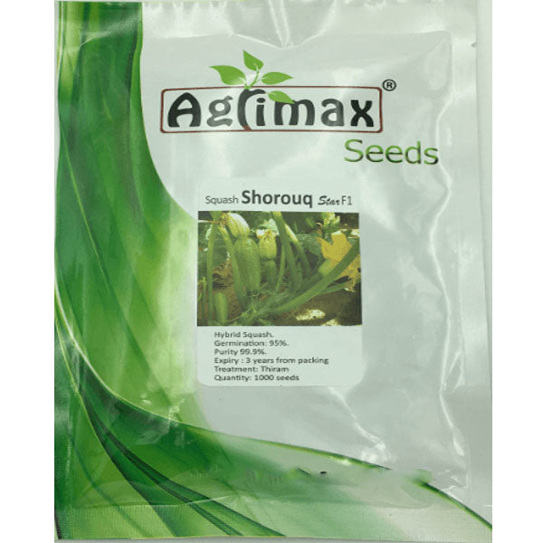 Squash F1 Premium Quality Seeds - www.FOP.ae Buy online Best and Healthy Plants and quality products guarantee in Dubai Plants Shop in Dubai Abu Dhabi all over UAE Plants near me Fresh Plants in Dubai where to buy plants in UAE - FOP.ae