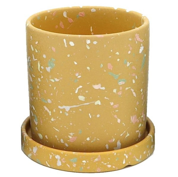 Ceramic Pot with Contrast Dots - www.FOP.ae Buy online Best and Healthy Plants and quality products guarantee in Dubai Plants Shop in Dubai Abu Dhabi all over UAE Plants near me Fresh Plants in Dubai where to buy plants in UAE - FOP.ae